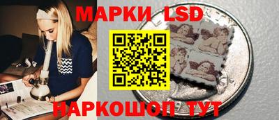 СК Можга