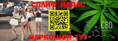 молекула духа Моздок