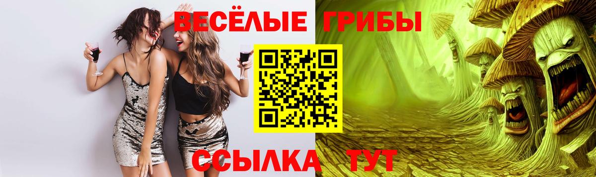 Видное  Псилоцибиновые грибы GOLDEN TEACHER  Вход с VPN 