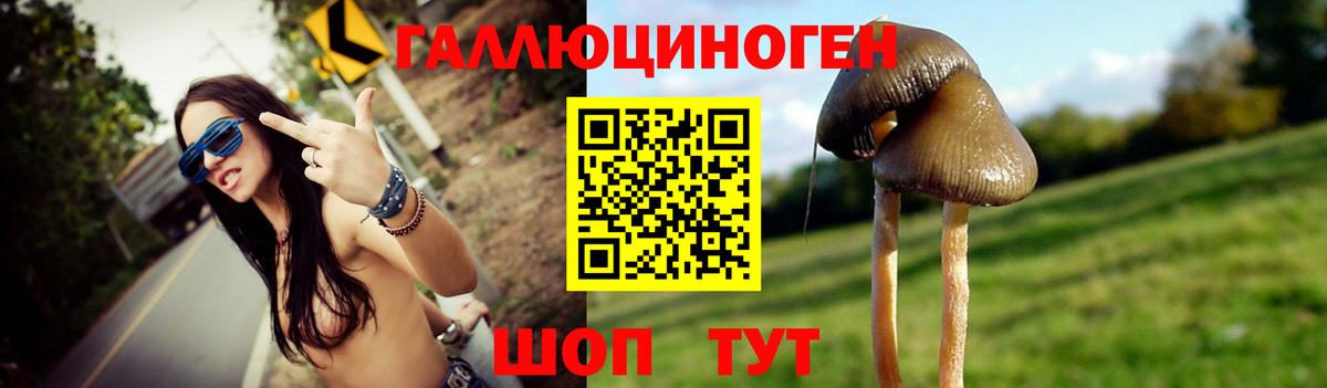 Галлюциногенные грибы MAGIC MUSHROOMS Видное